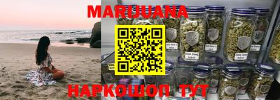 индика Моздок