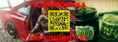 индика Моздок