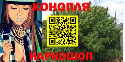индика Моздок