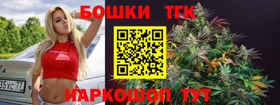 индика Моздок