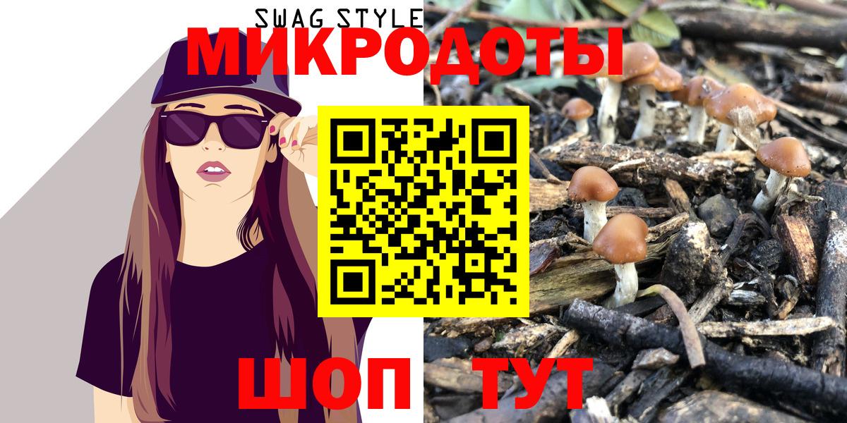 Псилоцибиновые грибы Psilocybe Торжок